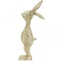 Floristik24 Coniglietto in legno Decorazione pasquale primaverile Coniglietto decorativo H25cm
