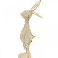 Floristik24 Figura decorativa, coniglietto, decorazione primaverile, Pasqua, decorazione in legno 30,5 cm