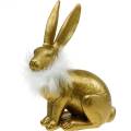 Floristik24 Coniglietto pasquale con boa di piume Decorazione primaverile Coniglietto Decorazione pasquale dorata