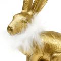 Floristik24 Coniglietto pasquale con boa di piume Decorazione primaverile Coniglietto Decorazione pasquale dorata