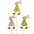 Floristik24 Coniglio di legno su un bastone verde, giallo, rosa 8 cm 12 pezzi