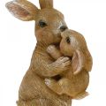 Floristik24 Figure di decorazione di coniglio famiglia di conigli Decorazione di Pasqua H11,5 cm 2 pezzi