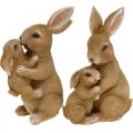 Floristik24 Figure di decorazione di coniglio famiglia di conigli Decorazione di Pasqua H11,5 cm 2 pezzi