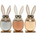 Floristik24 Coniglio di legno in un uovo, decorazione primaverile, conigli con occhiali, coniglietti pasquali 3pz