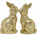 Floristik24 Coniglio dorato decorazione seduta aspetto antico Coniglio pasquale H12,5 cm 2 pezzi
