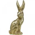 Floristik24 Decorazione coniglietto grande coniglietto pasquale seduto oro 22×17×51,5 cm