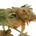 Ramo di nocciola verde / marrone 84 cm | Floristik24.it