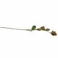 Ramo di nocciola verde / marrone 84 cm | Floristik24.it