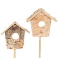 Floristik24 Casetta per uccelli decorativa, in legno di betulla, 5 cm, con supporti per fiori, 4 pezzi