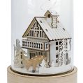 Floristik24 Casa illuminata con campana di vetro 27,5 cm