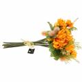 Floristik24 Mazzo di crisantemo Mix Arancio 35cm