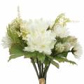 Floristik24 Crisantemo Bouquet Mix bianco 35 cm