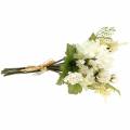 Floristik24 Crisantemo Bouquet Mix bianco 35 cm