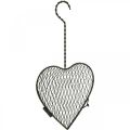 Floristik24 Cuore in metallo, cuore in filo, cuore a cesto Marrone H16.5cm L31cm