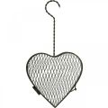 Floristik24 Cuore in metallo, cuore in filo, cuore a cesto Marrone H16.5cm L31cm
