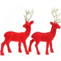 Floristik24 Decorazione cervo decorativo figura deco renna rossa H20cm 2 pezzi