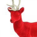 Floristik24 Decorativo cervo figura decorativa renna decorativa floccata rossa H28cm