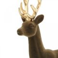Floristik24 Deco decorazione cervo figura deco renna floccata marrone H37cm