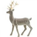 Floristik24 Decorativo cervo figura decorativa renna decorativa floccata grigio H46cm