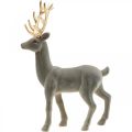 Floristik24 Cervo decorativo figura decorativa renna decorativa floccata grigia H37cm