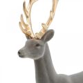 Floristik24 Cervo decorativo figura decorativa renna decorativa floccata grigia H37cm