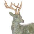 Statuetta di cervo, decorativa, in piedi, dettagliata, 43 cm | Floristik24.it