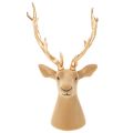 Scultura decorativa a forma di testa di cervo con grandi corna, 52 cm | Floristik24.it