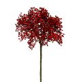 Floristik24 Ramo di fiori di sambuco rosso 55cm 4 pezzi