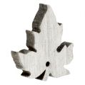 Floristik24 Mix di foglie d&#39;acero in legno lavate bianche 30 pezzi