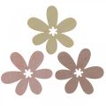 Floristik24 Fiori in legno decorazione sparsa fiori legno beige/giallo/rosa Ø4cm 72p
