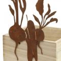 Floristik24 Fioriera in legno con decoro ruggine vaso vegetale 17×17×12 cm