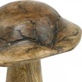 Floristik24 Fungo in legno con motivo decorativo fungo naturale, legno dorato deco Ø10cm H13cm