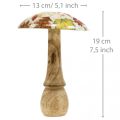 Fungo in legno deco foglie autunnali bianche, decorazione autunnale colorata Ø13cm H19cm | Floristik24.it