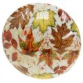 Floristik24 Fungo in legno deco foglie autunnali bianche, decorazione autunnale colorata Ø13cm H19cm