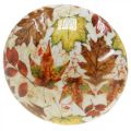 Fungo in legno deco foglie autunnali bianche, decorazione autunnale colorata Ø13cm H19cm | Floristik24.it