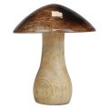 Floristik24 Decorazione fungo in legno effetto lucido marrone naturale Ø10cm H12cm