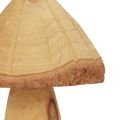 Floristik24 Funghi in legno decorazione funghi decorazione in legno decorazione da tavola naturale autunno Ø11cm H28cm