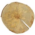 Floristik24 Disco di legno naturale 25 cm - 30 cm