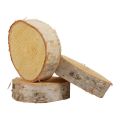 Floristik24 Dischi di legno decorativi in legno di betulla corteccia naturale Ø7-9cm 20pz