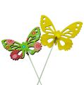 Floristik24 Farfalle in legno sul bastone in colori assortiti. 9 cm
