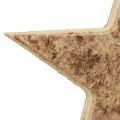 Floristik24 Appendiabiti decorativo decorativo stelle in legno legno decorativo rustico Ø20cm