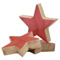 Floristik24 Decorazione stelle in legno Decorazione natalizia stelle rosa lucido Ø5cm 8pz