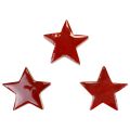 Floristik24 Stelle in legno stelle decorative rosse decorazione sparsa effetto lucido Ø5cm 12pz