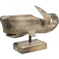 Floristik24 Whale Deco Wood Balena in legno Decorazione marittima Teak Nature 29cm