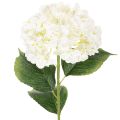 Floristik24 Ortensia artificiale a stelo lungo, fiore artificiale da 60 cm