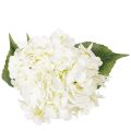 Ortensia artificiale a stelo lungo, fiore artificiale da 60 cm | Floristik24.it