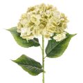 Floristik24 Fiore di ortensia artificiale con stelo lungo e foglie, 60 cm