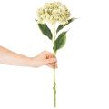 Fiore di ortensia artificiale con stelo lungo e foglie, 60 cm | Floristik24.it
