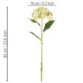 Fiore di ortensia artificiale con stelo lungo e foglie, 60 cm | Floristik24.it