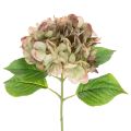 Floristik24 Ortensia artificiale decorativa con stelo, 46 cm